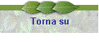 Torna su